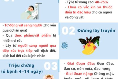 Sở Y tế TP. Hồ Chí Minh: Virus Nipah